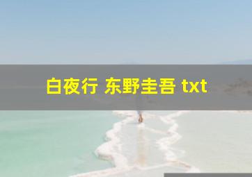 白夜行 东野圭吾 txt